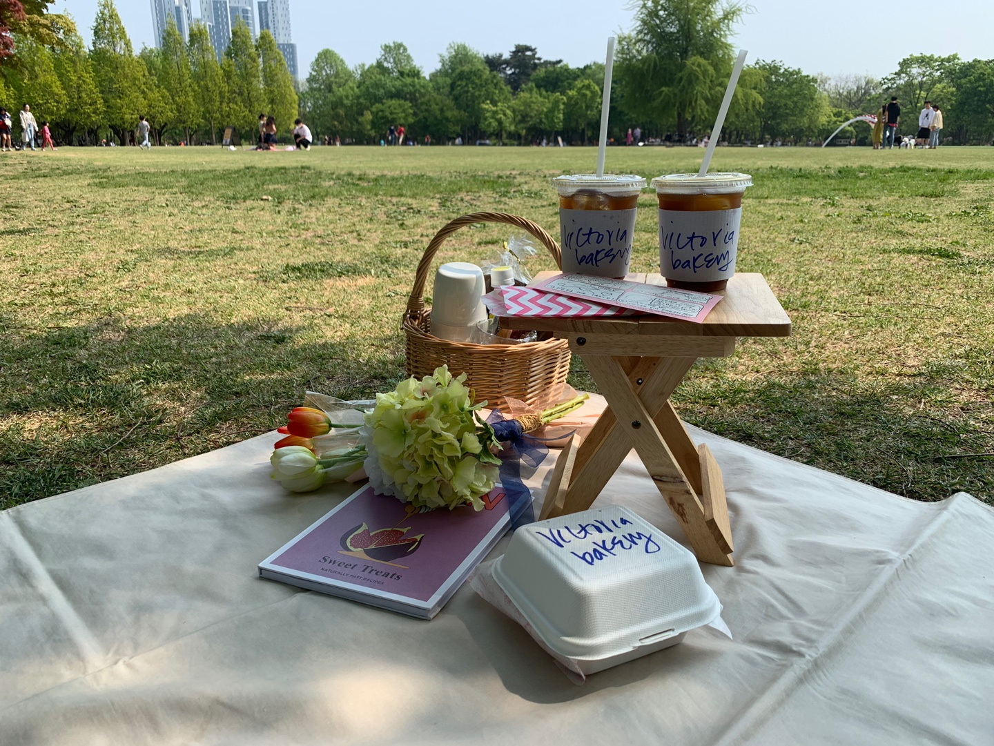 BORROWING THINGS IN SEOUL PART 2. Picnic Pack MUFKO